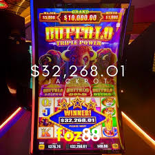 Basketball Betting foz88
